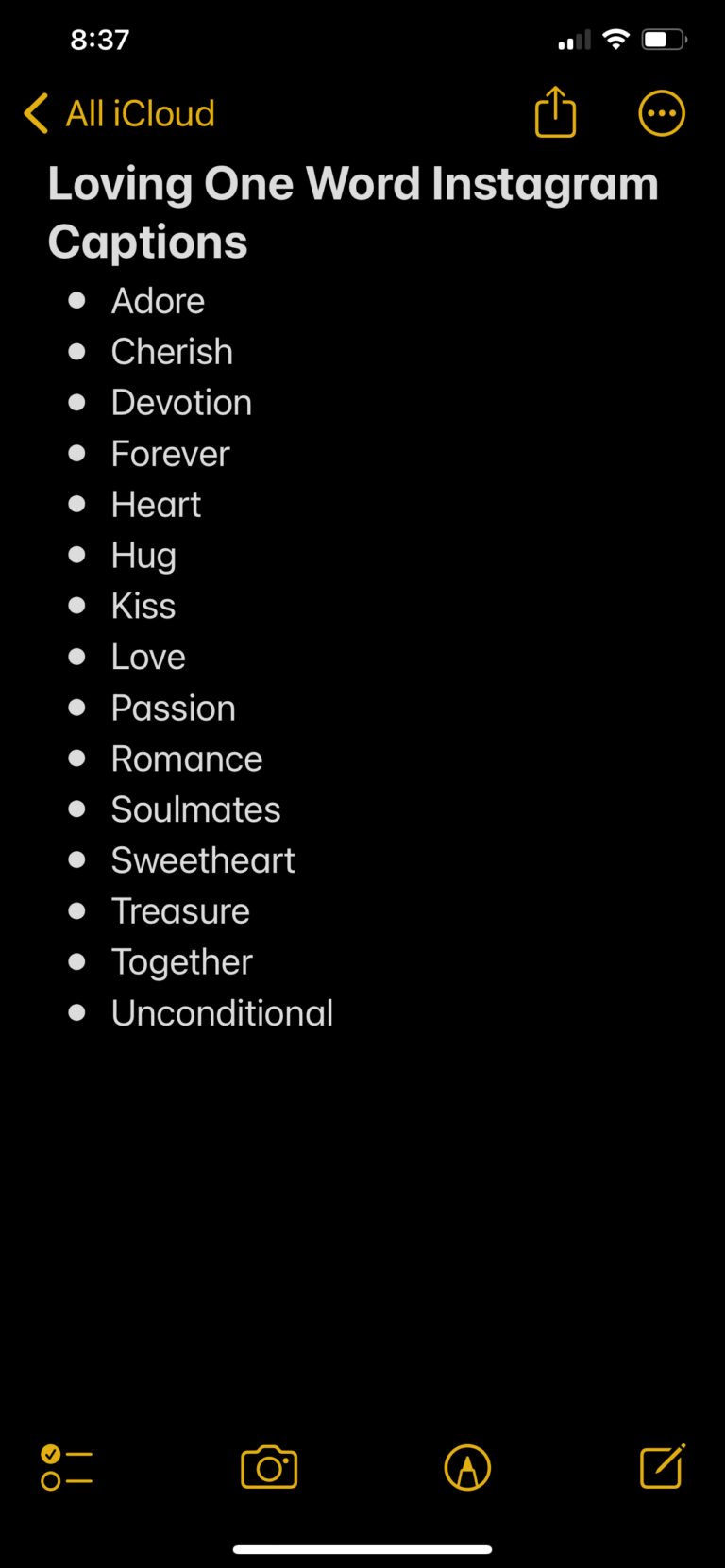 217 Best One Word Captions for Instagram (2024)