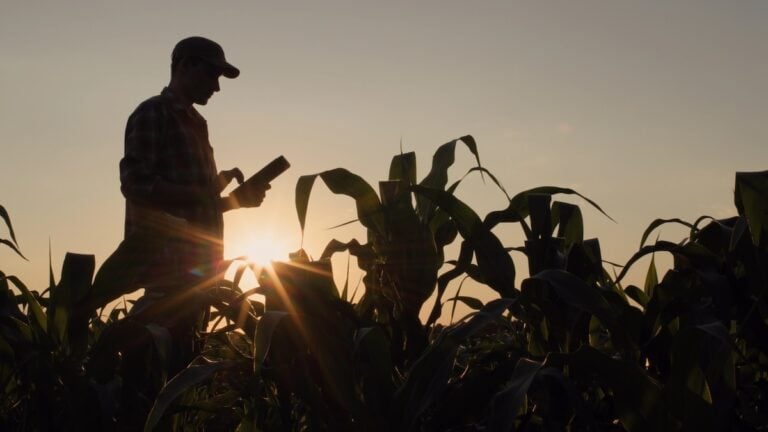 250 Farm Business Names: Memorable Ideas for Your Agricultural Business